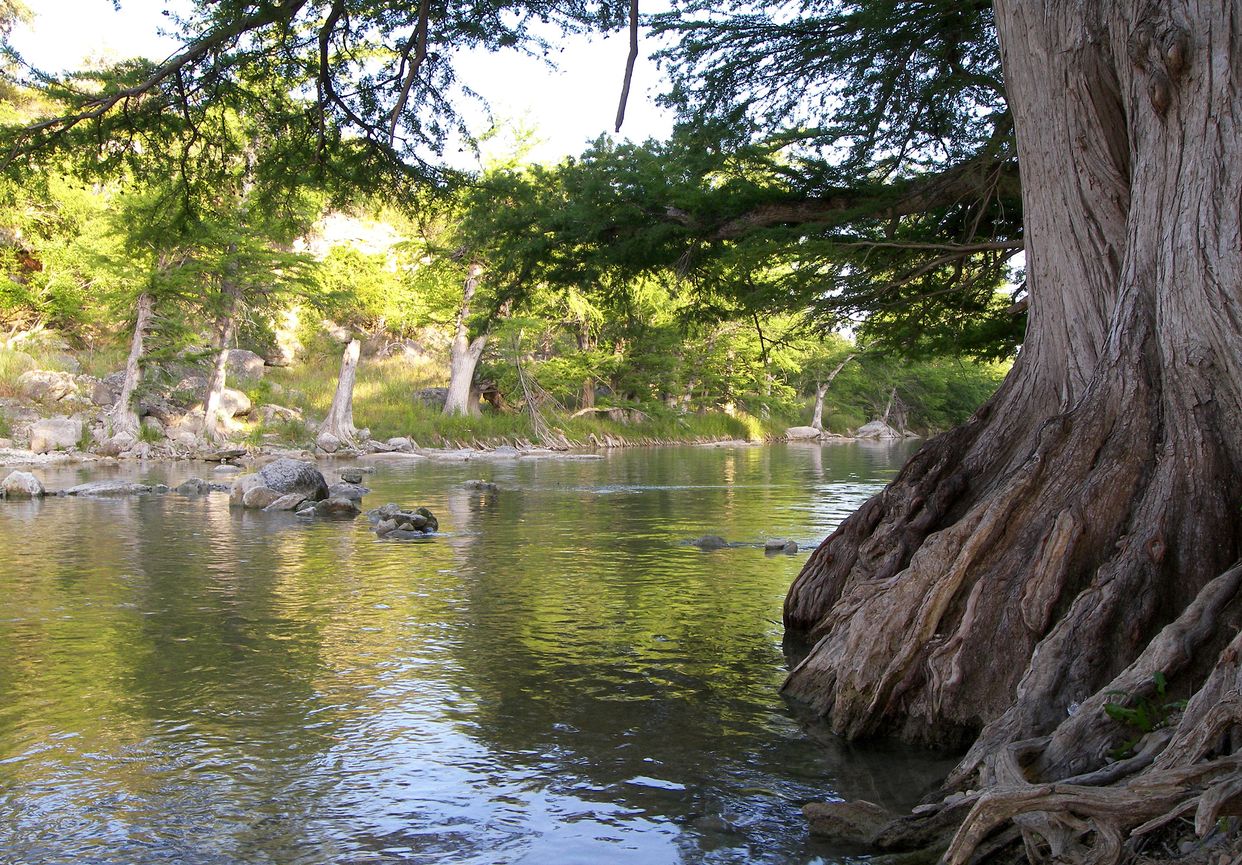 Guadalupe River Shoreline