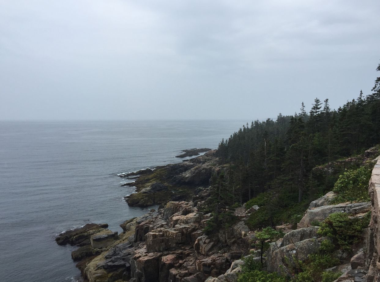 Otter Cliffs Overlook View