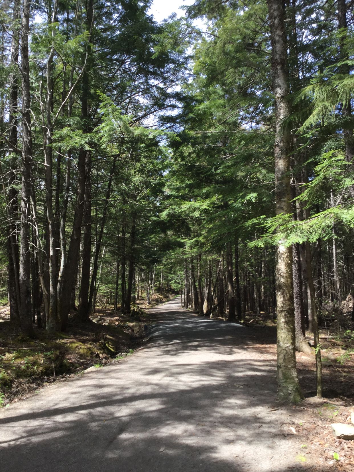 Sackville Lakes Provincial Park
