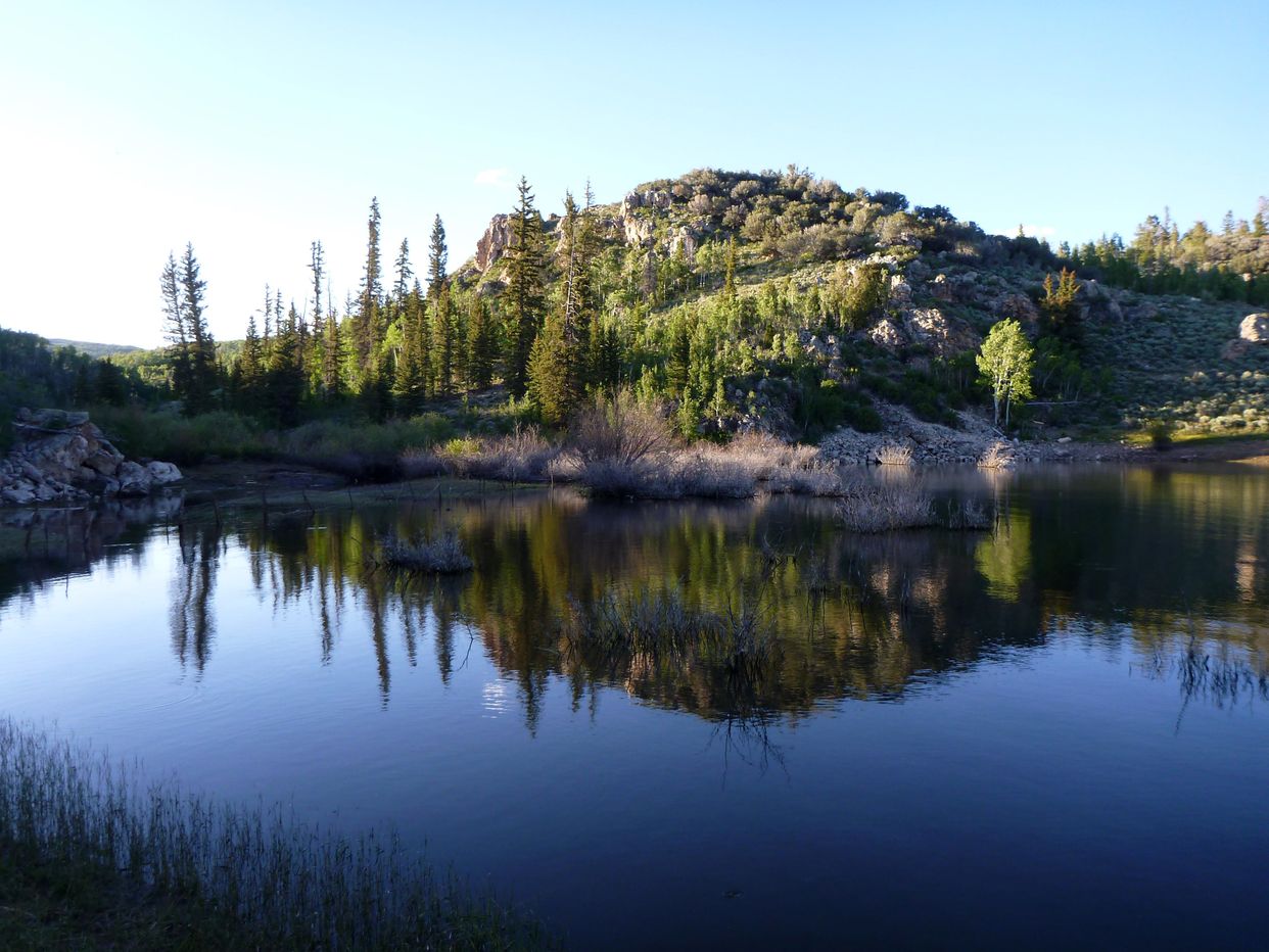 Upper Box Creek Reservoir