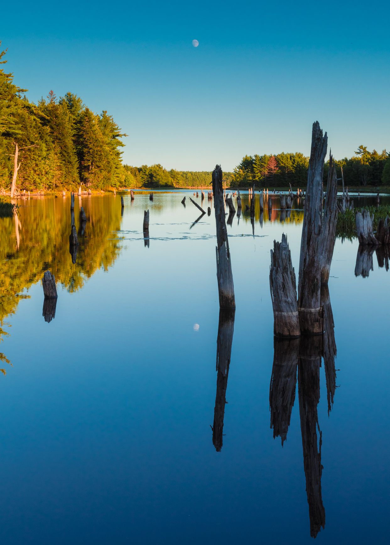 Still Waters