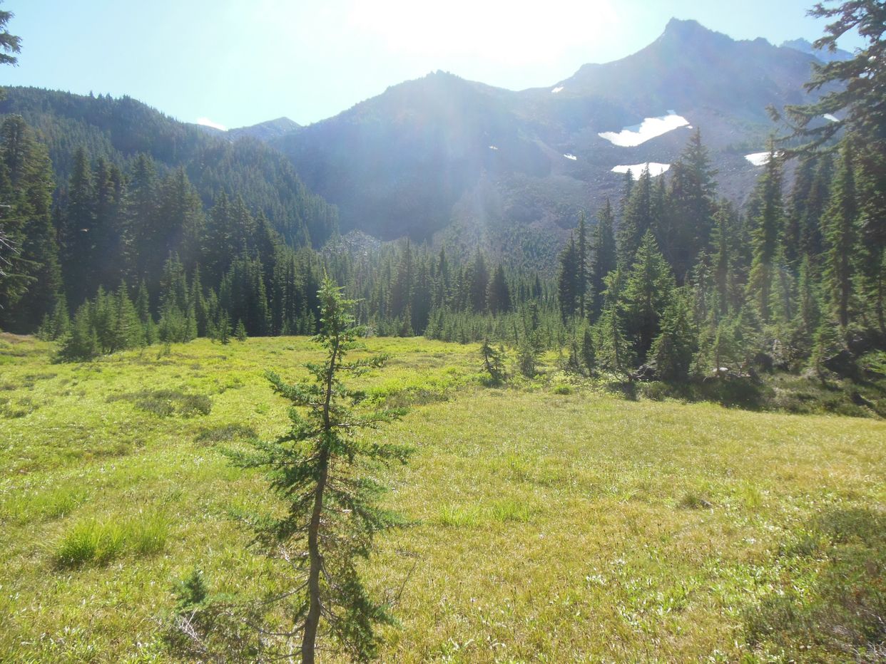 Pacific Crest Trail  View