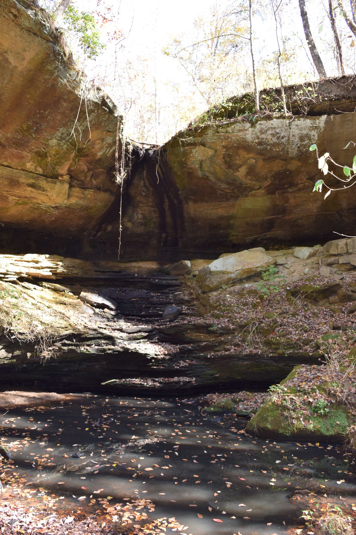 Karen's Falls 