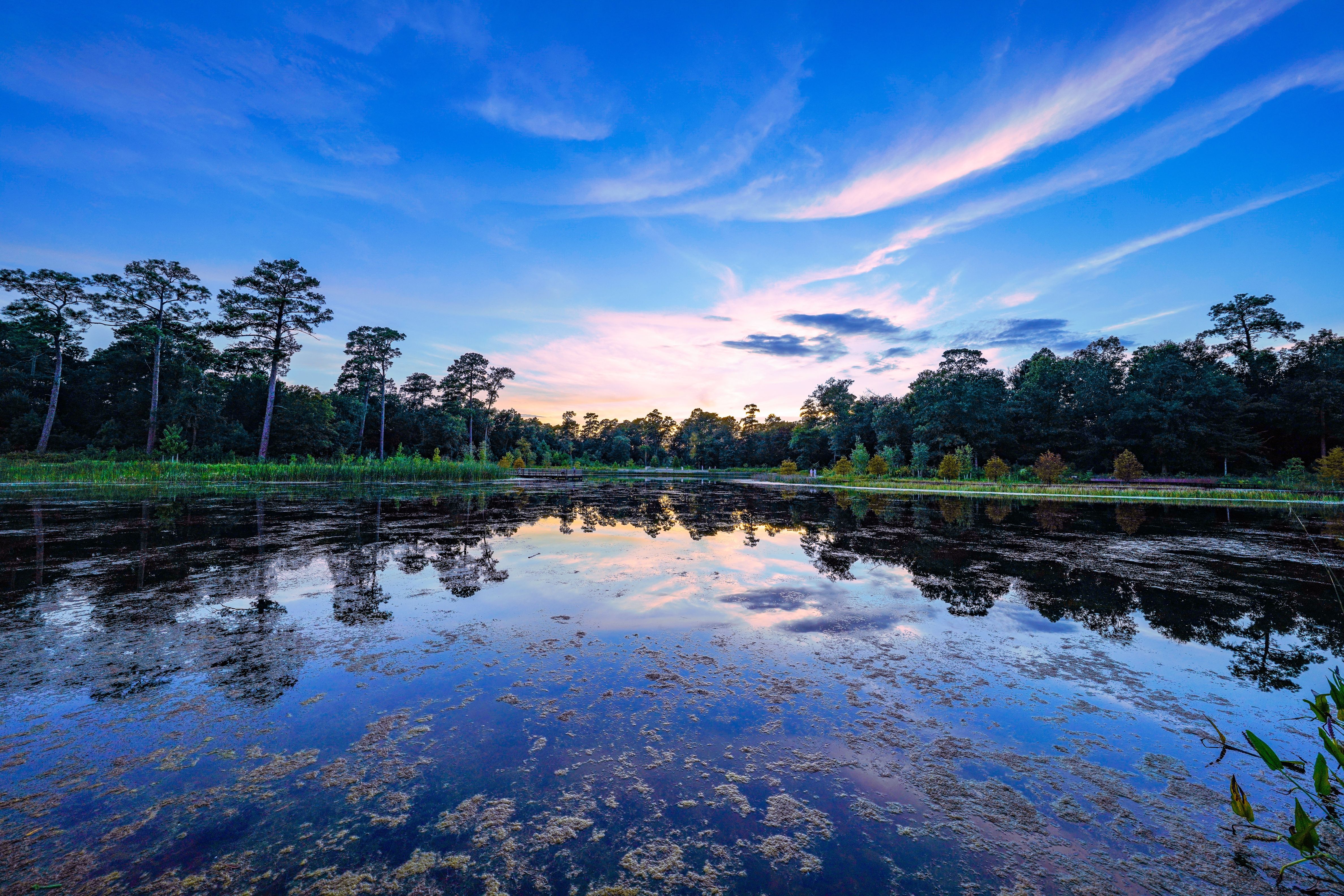 Clay Family Eastern Glades — Photo by @chrisprazak