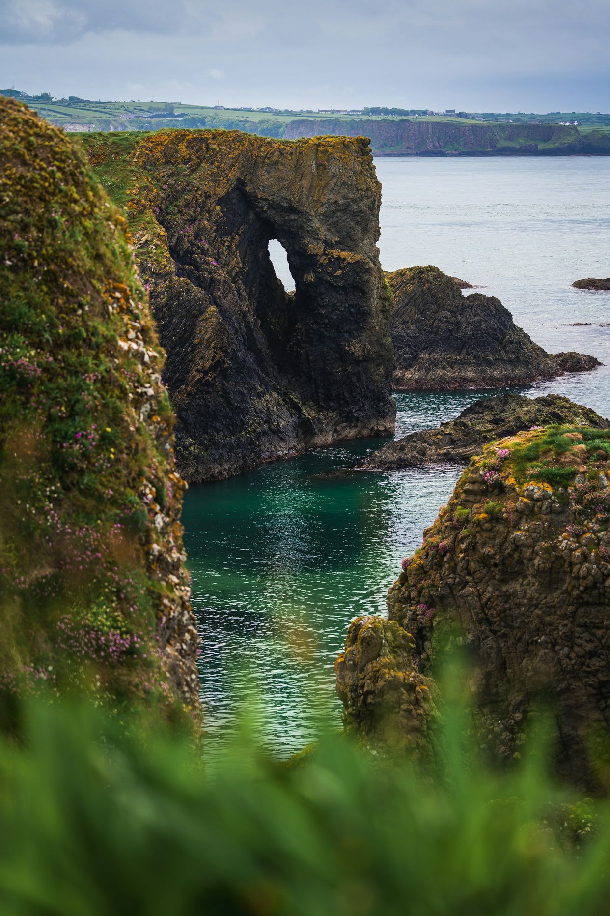 The Elephant Rock