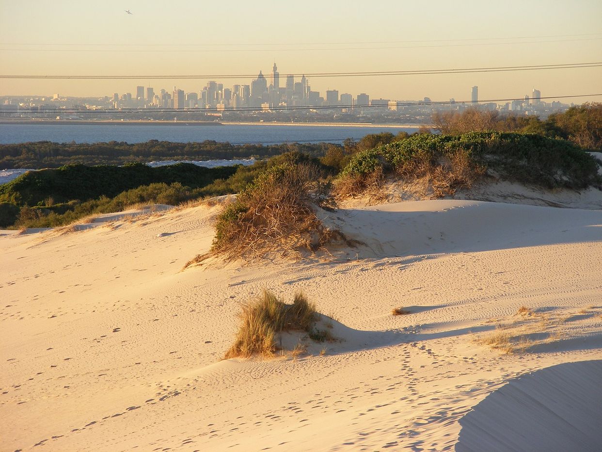 Cronulla Sand Dunes