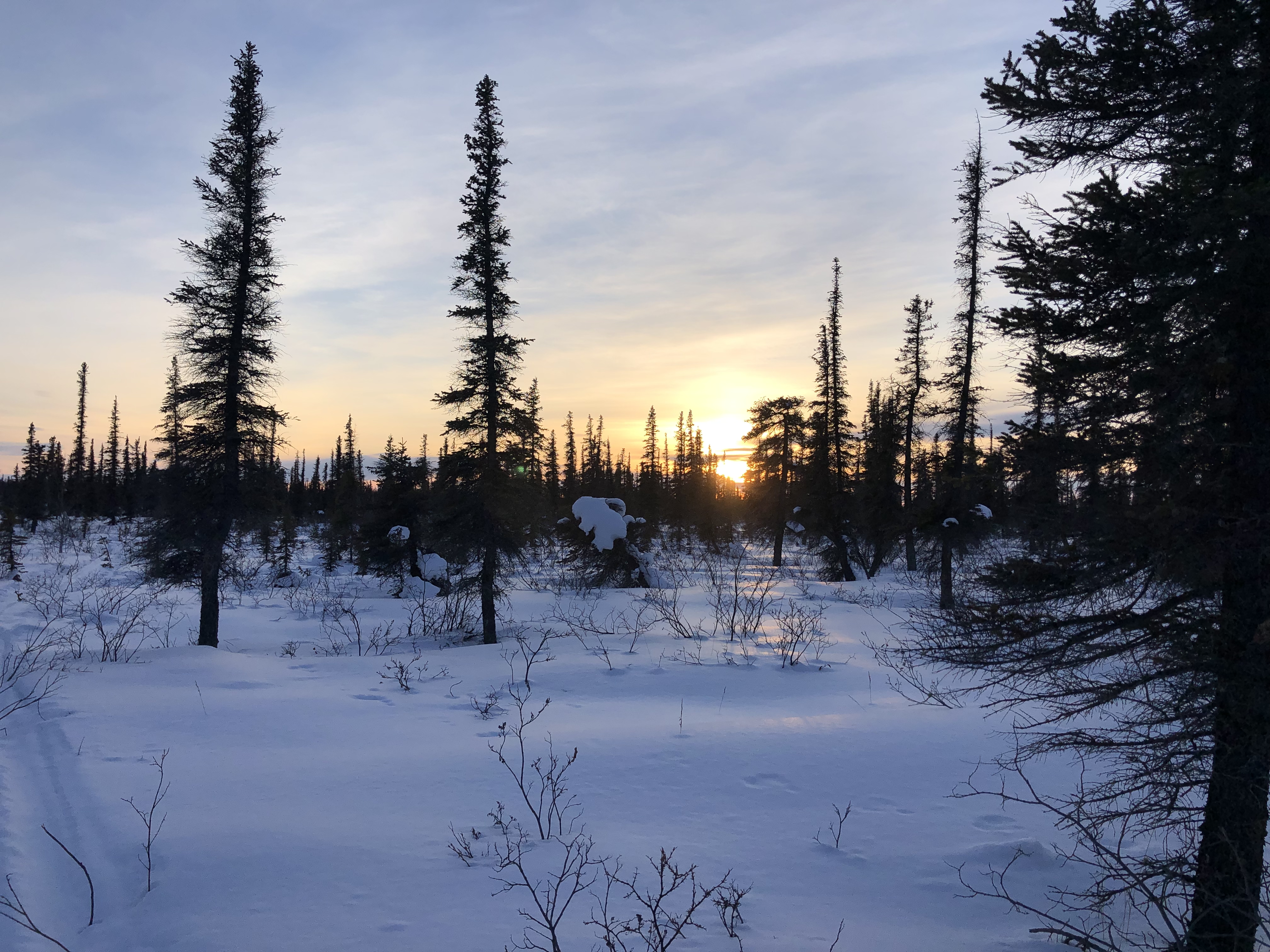Inuvik Ice Road — Photo by Leia Hoffman