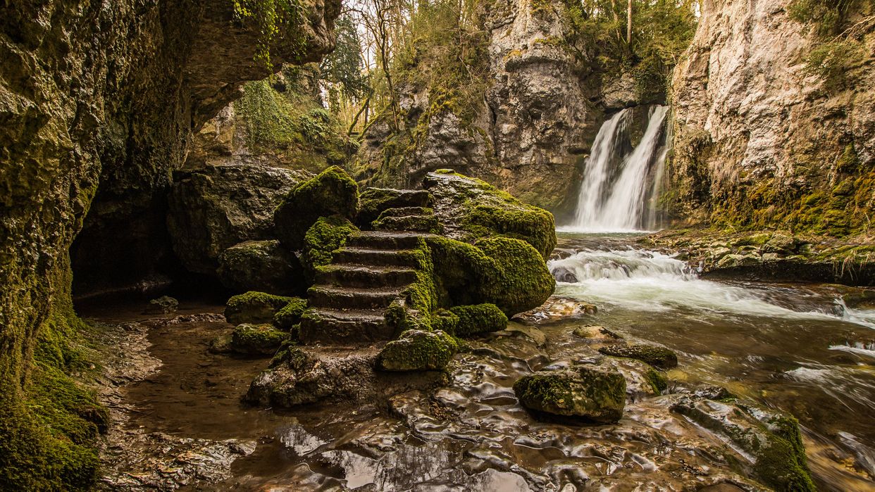 Tine de Conflens