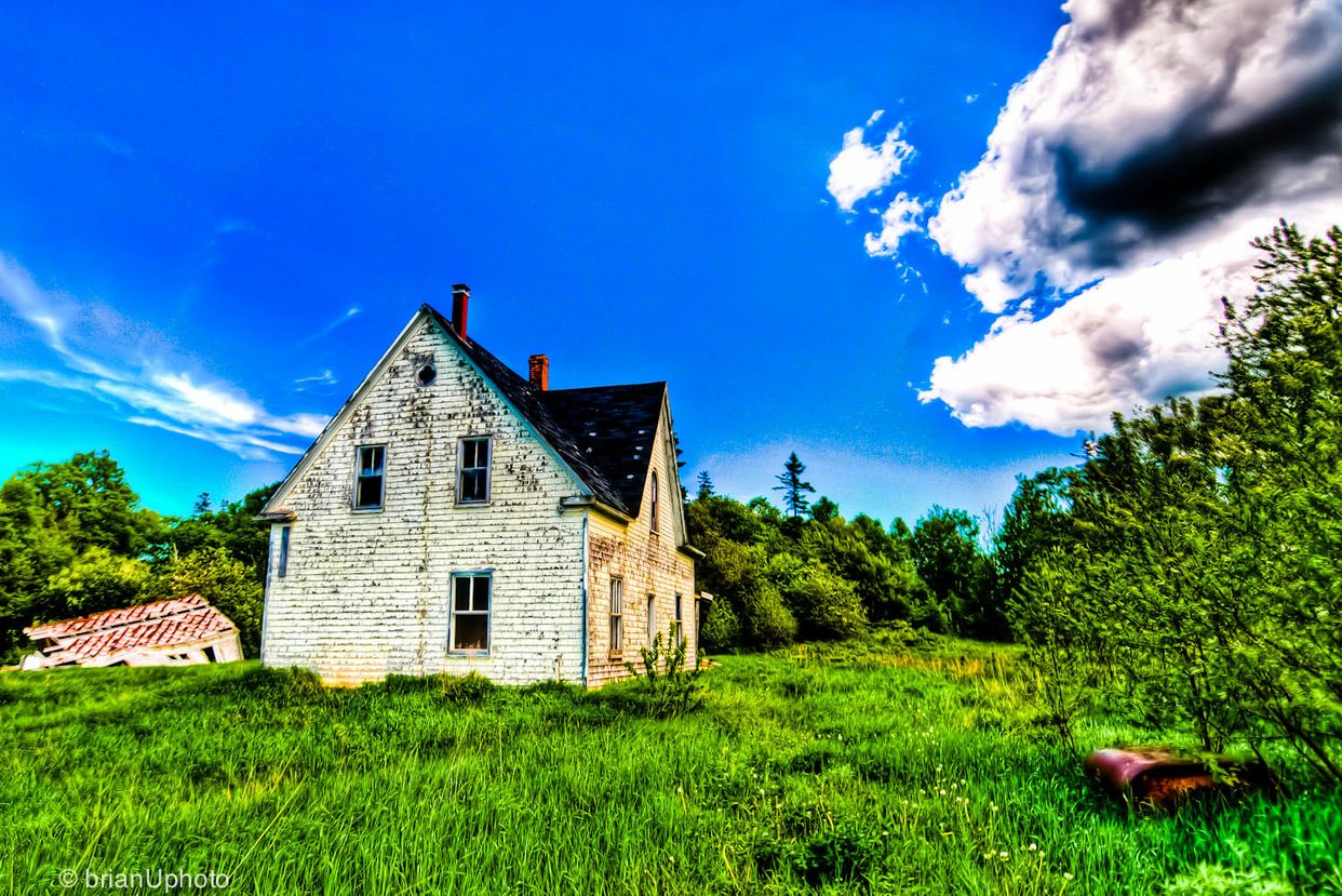 Abandoned Homestead