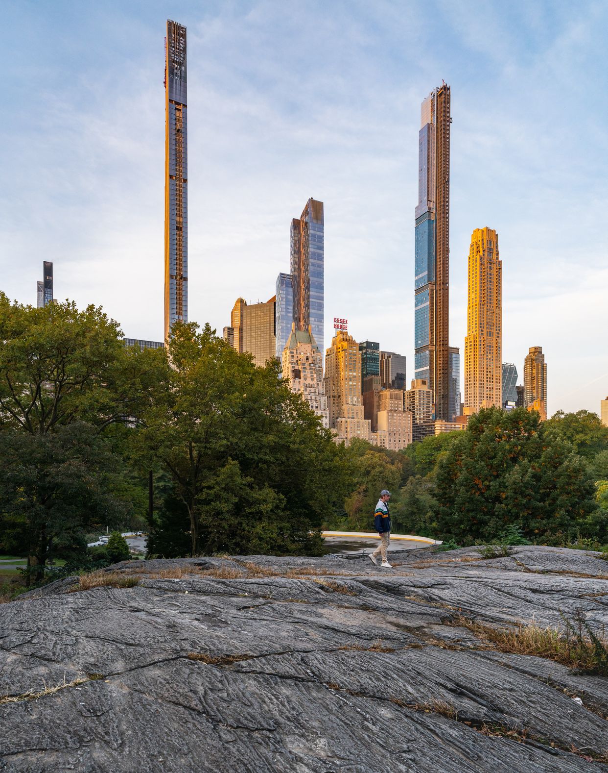 Central Park Cityscape