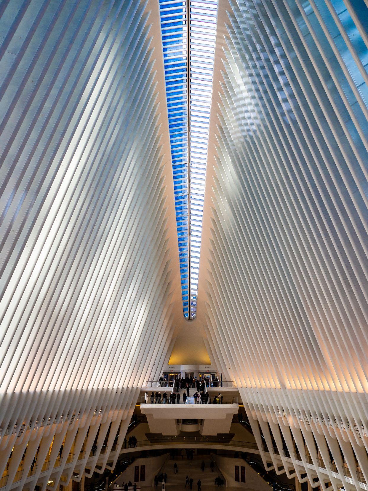 Oculus