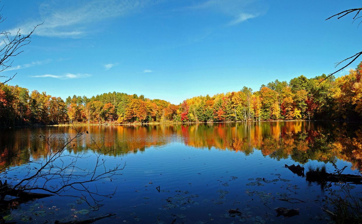 Dorothy Lake