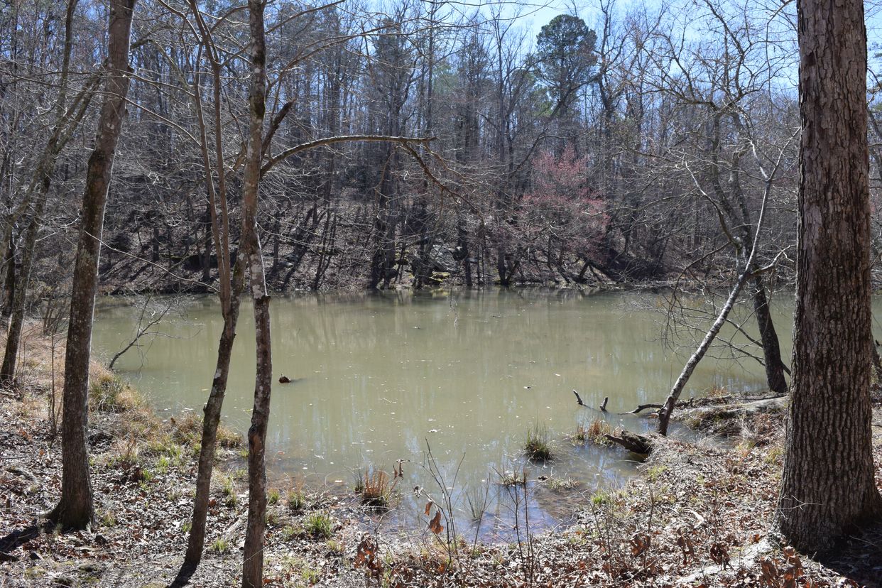 CCC pond