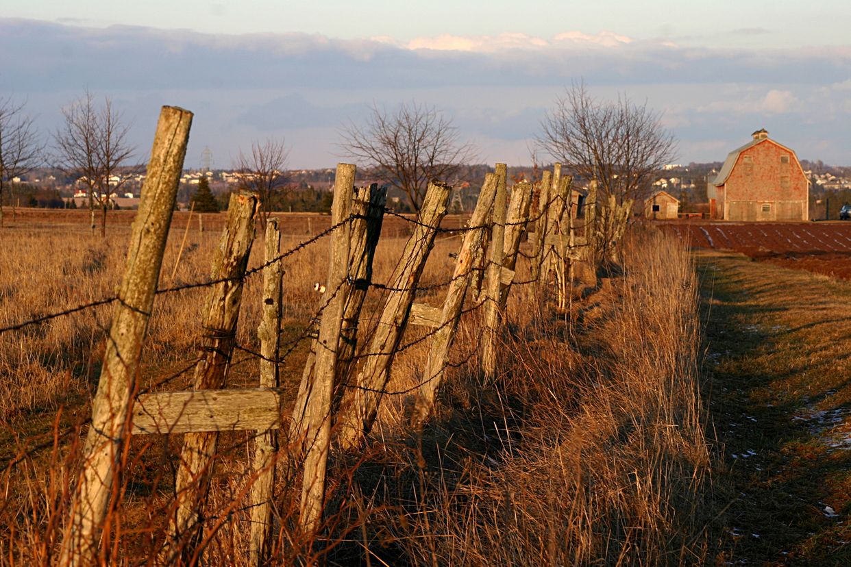 Barbed Wire Fence with Old Barn
