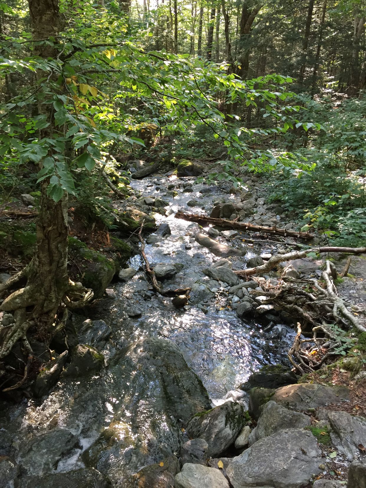 Browns River