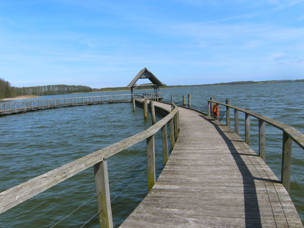 Vogelplattform Hemmelsdorfer See