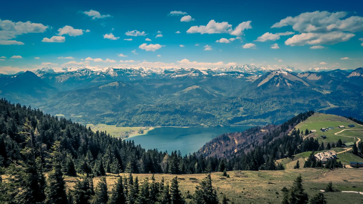 Schafberg Summit