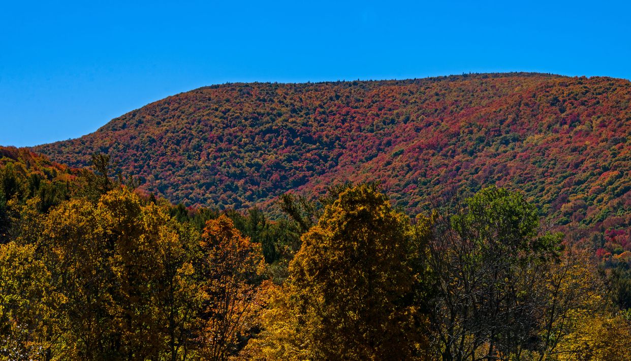 View of  Mt. Sherill