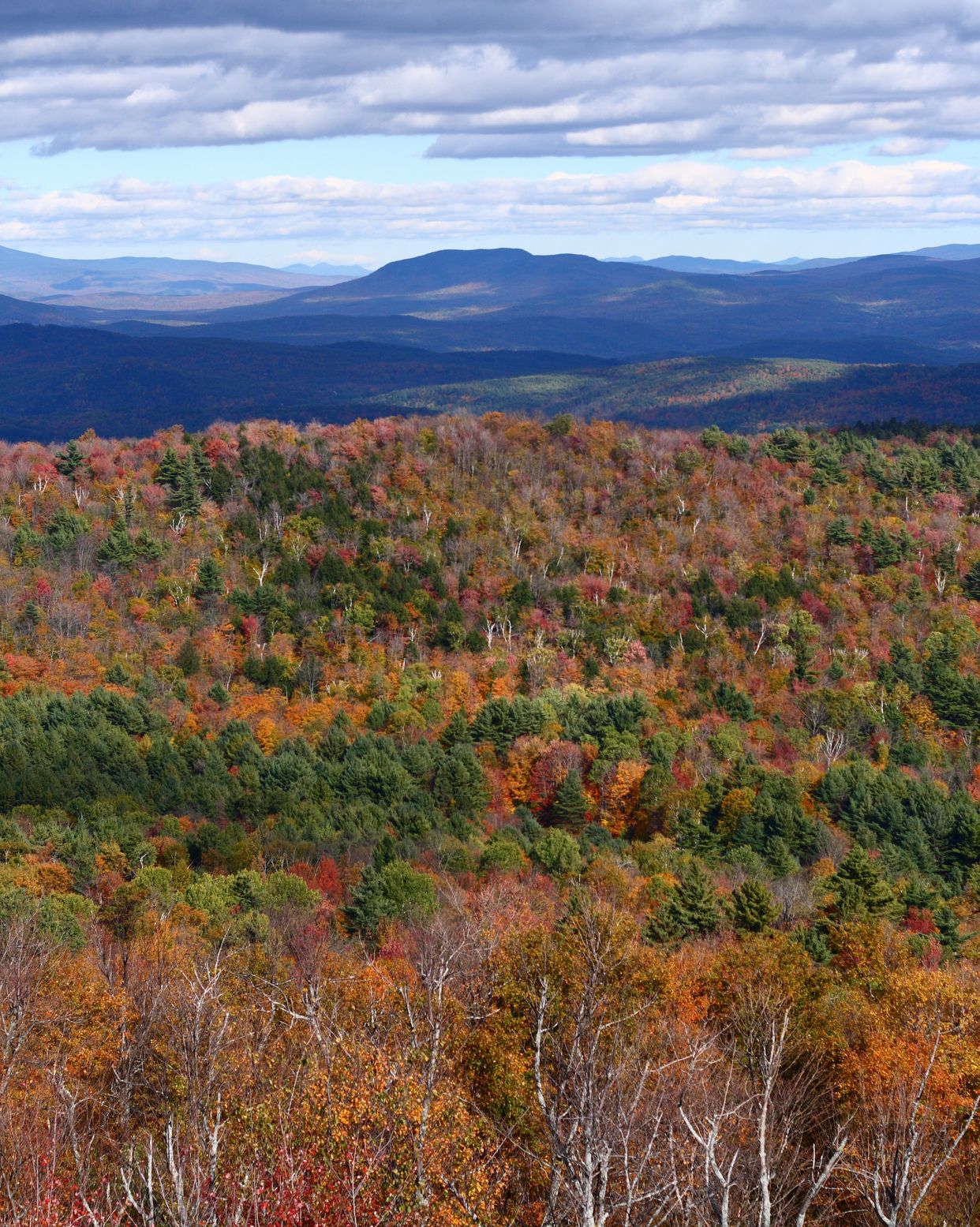 Gile Mountain Fire Tower View