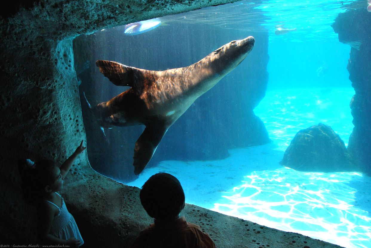 Long Island Aquarium 