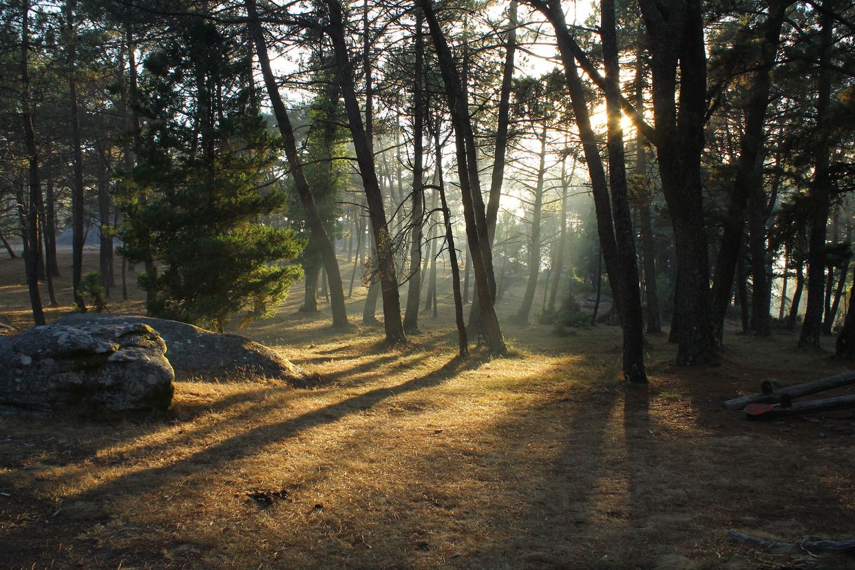 Parque Natural Monte Aloia