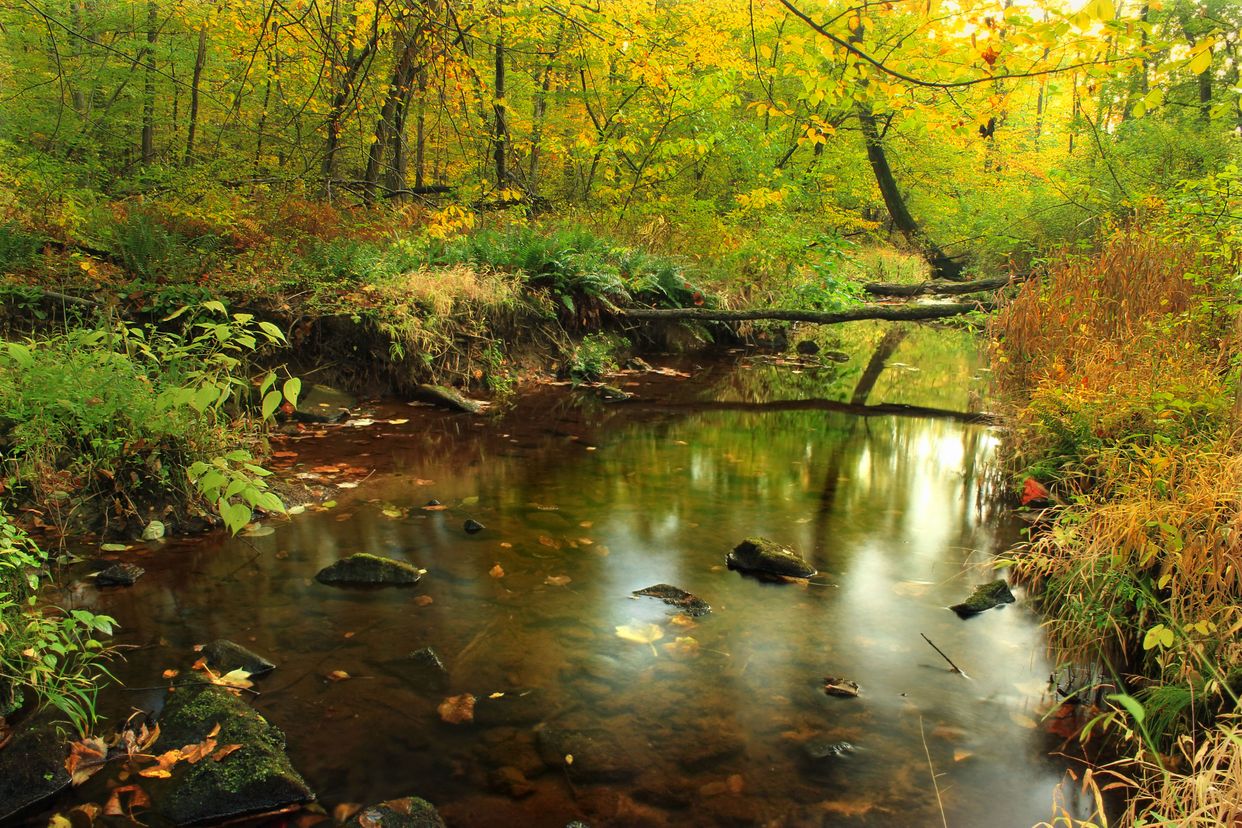 Antietam Creek