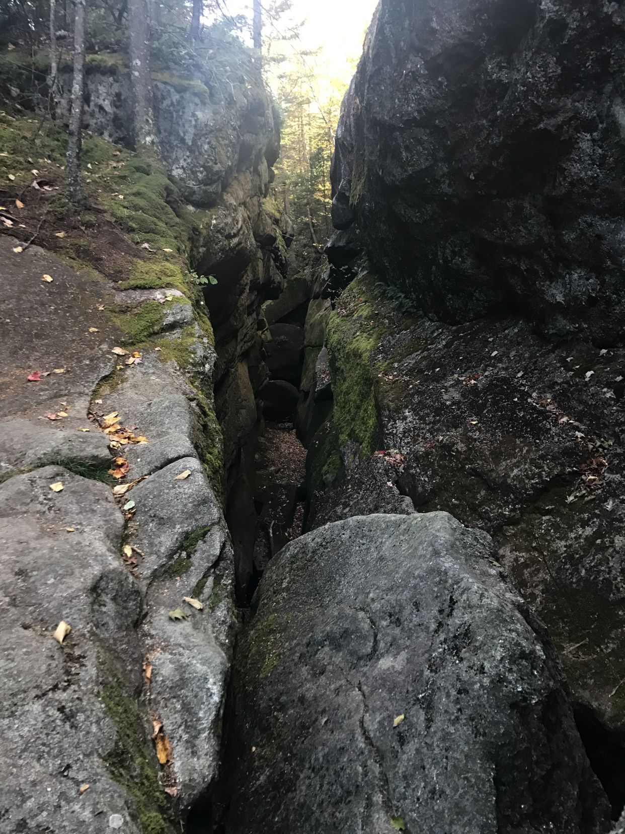 Moose Cave