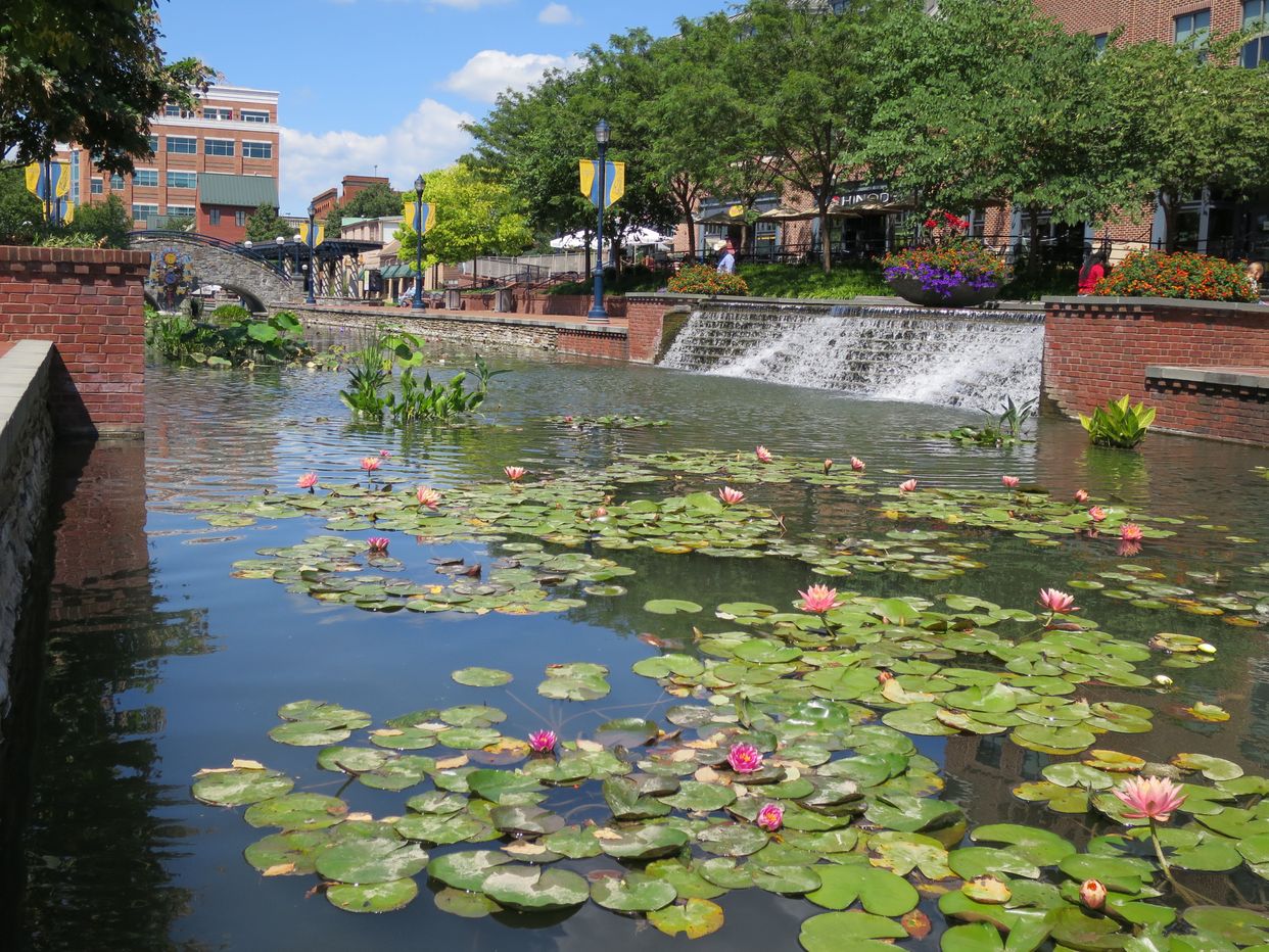 Carroll Creek