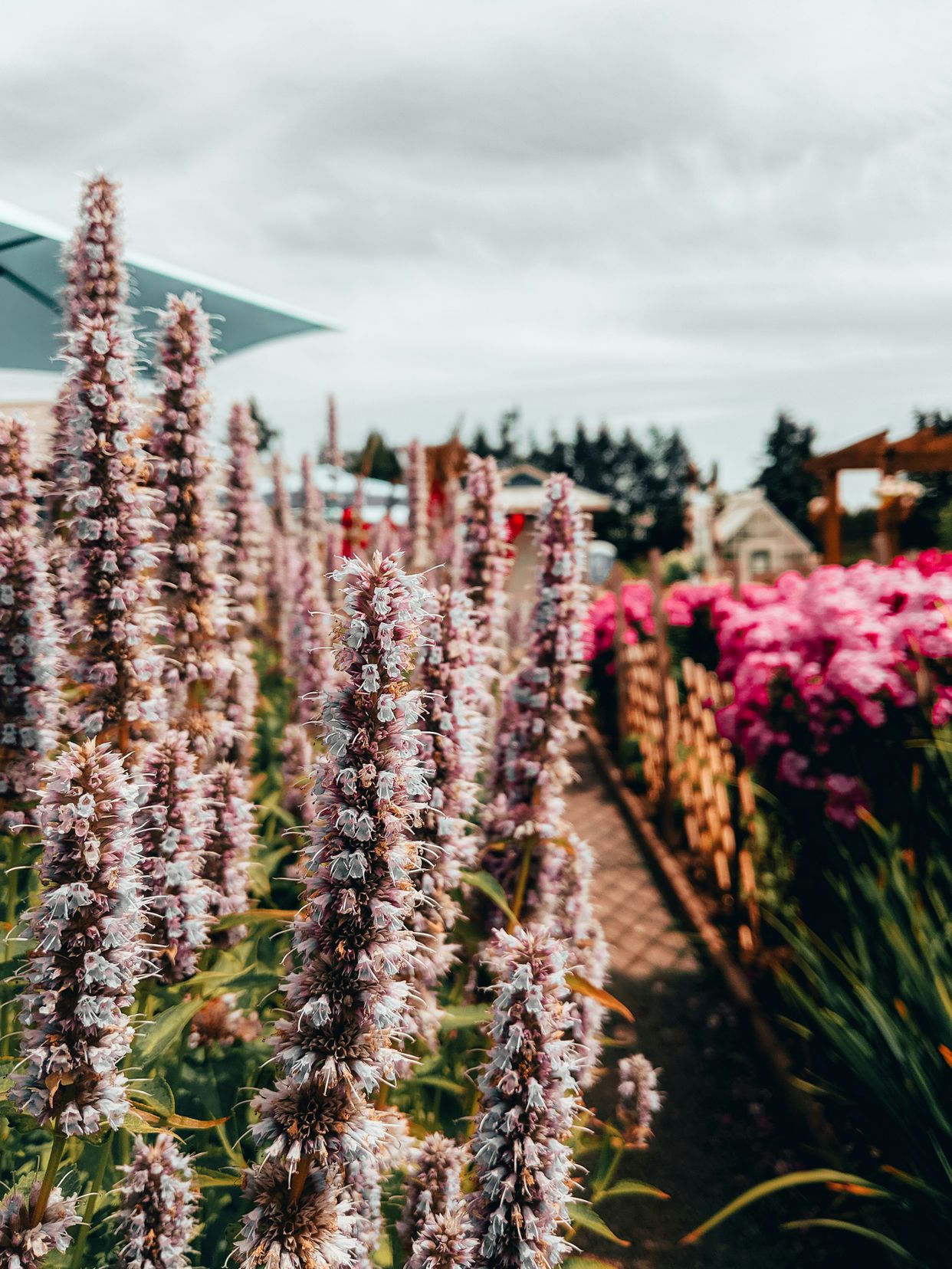 Krause Berry Farms & Estate Winery