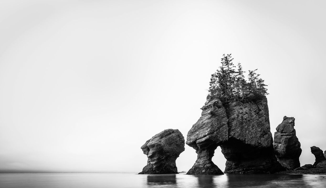 Hopewell Rocks Provincial Park