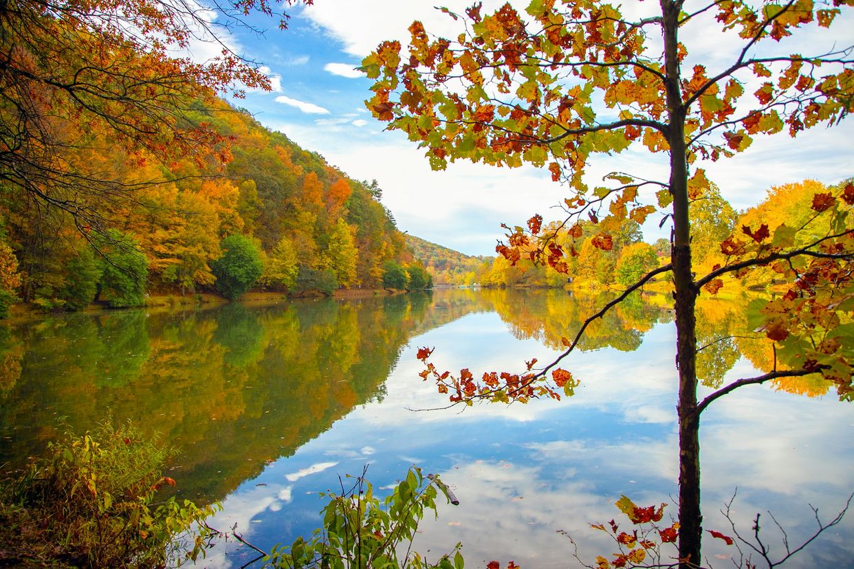 Steele Creek Park Lake