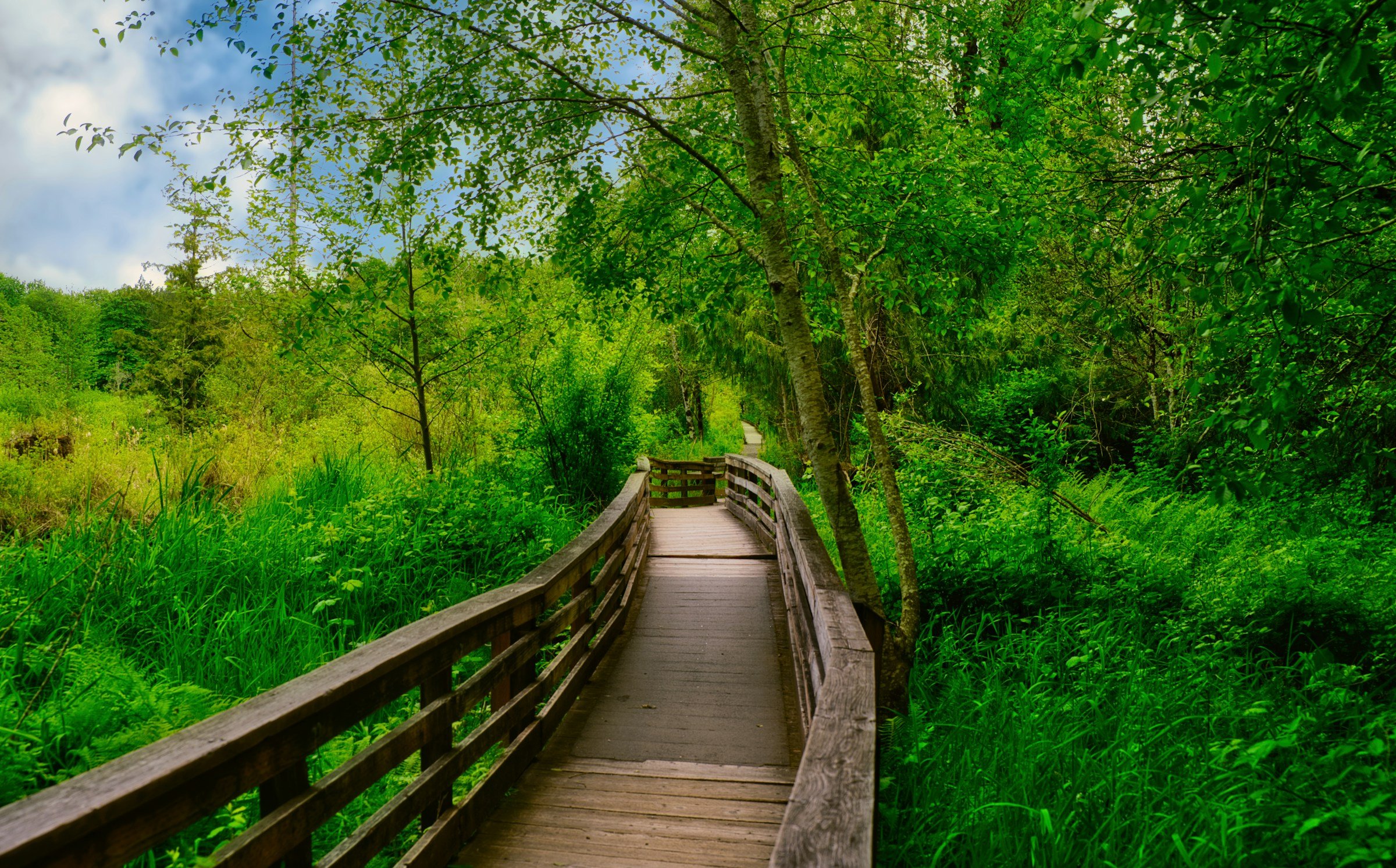 McLane Creek Nature Trail