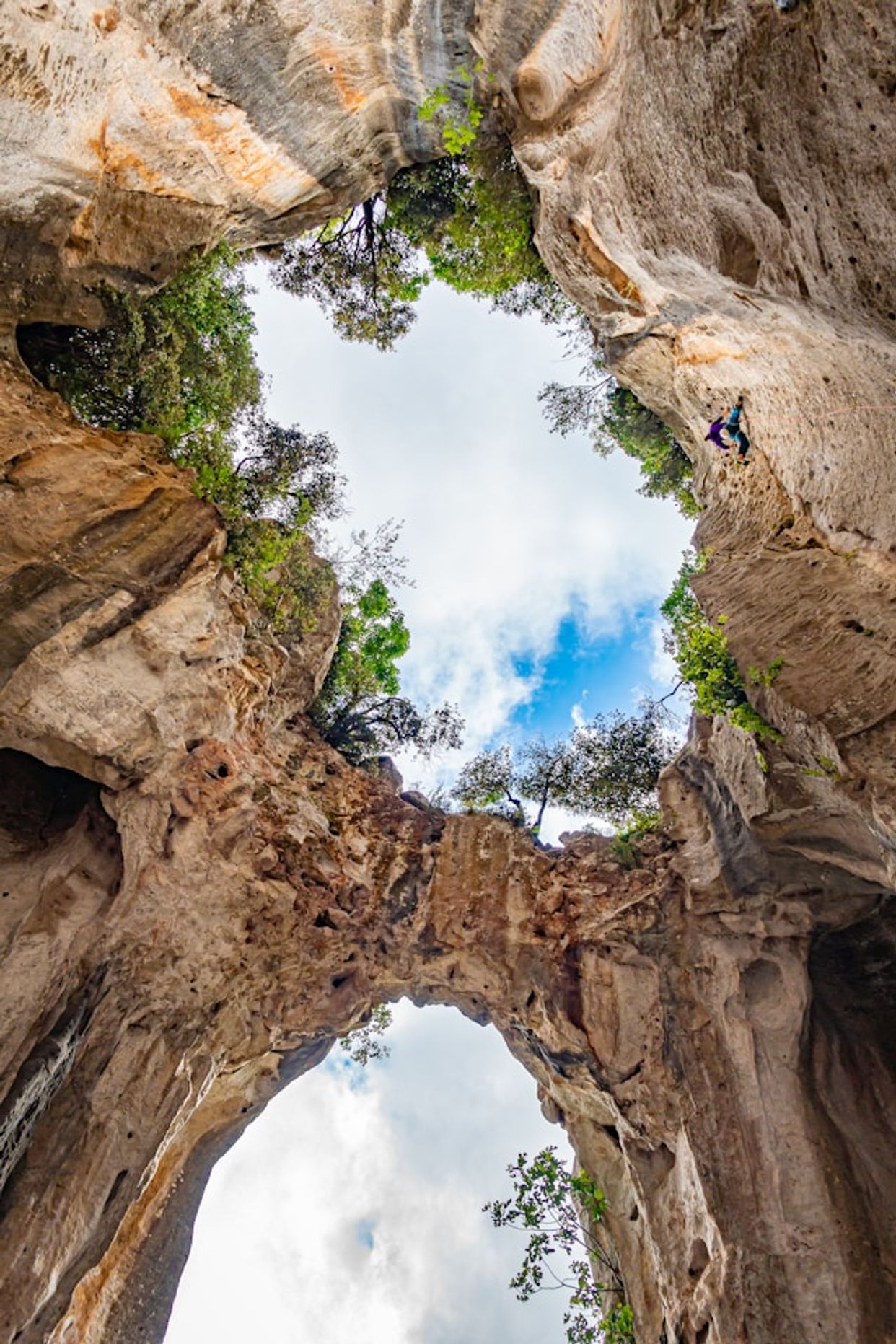 Grotta dell'Edera