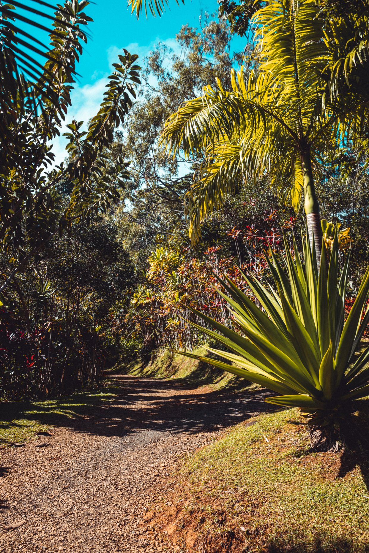 Garden of Eden Arboretum