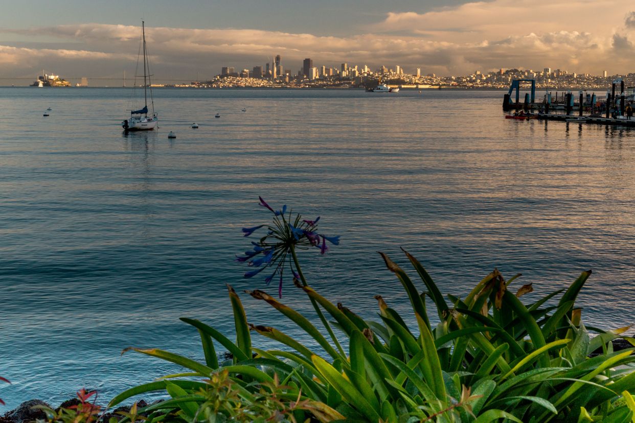 Gabrielson Park View
