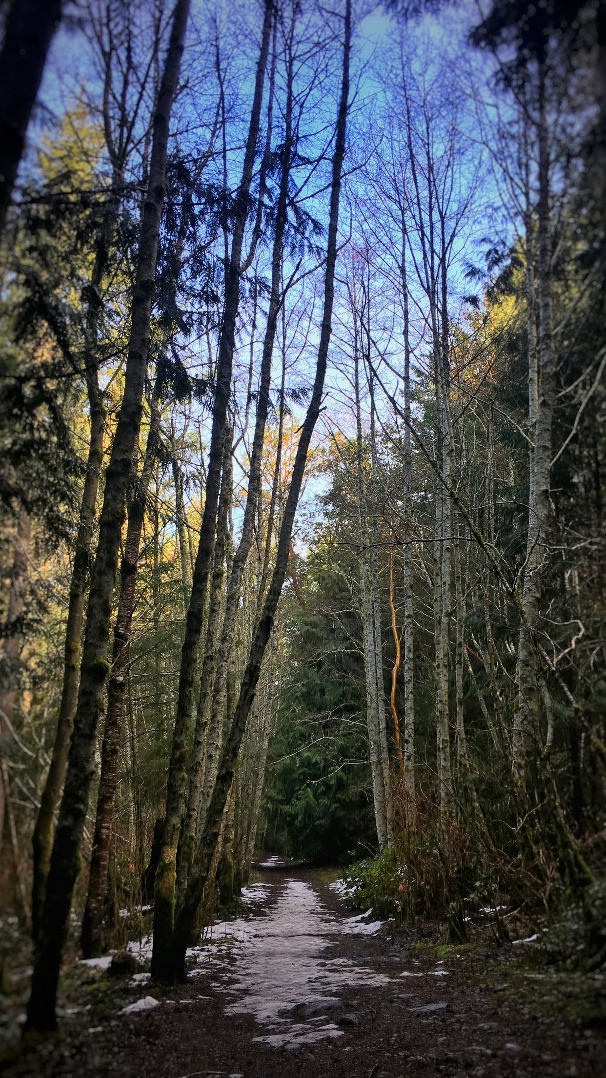 Blinkhorn Nature Park