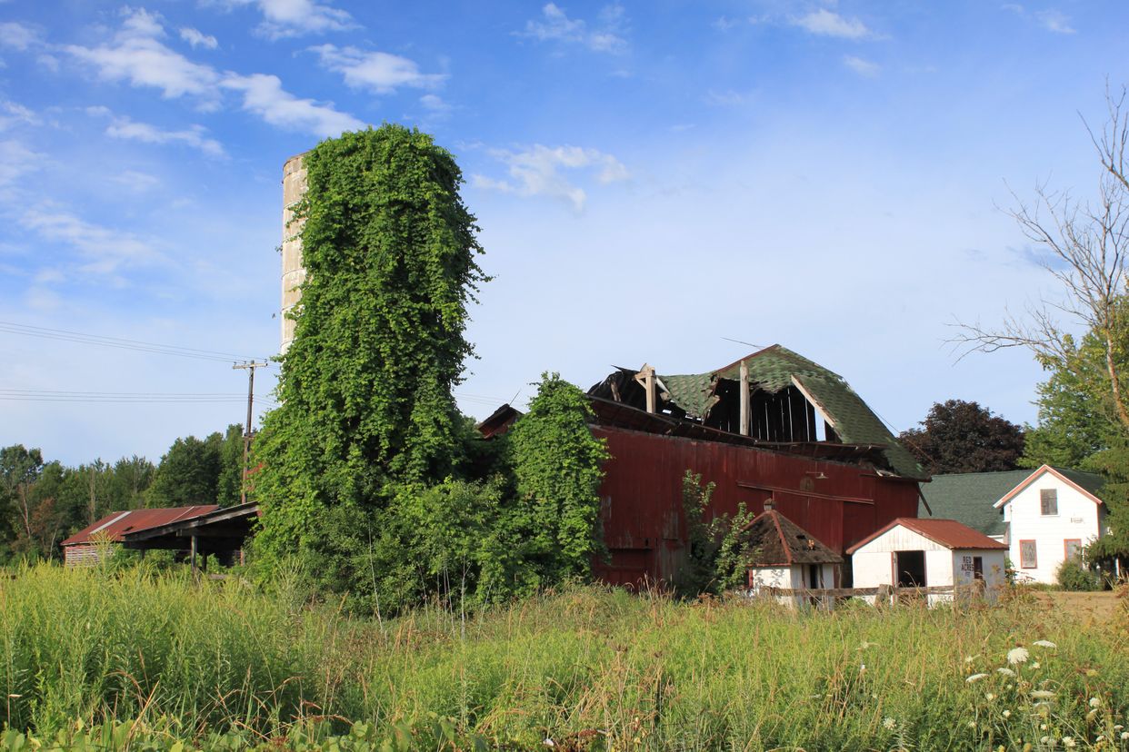 Dilapidated barn 