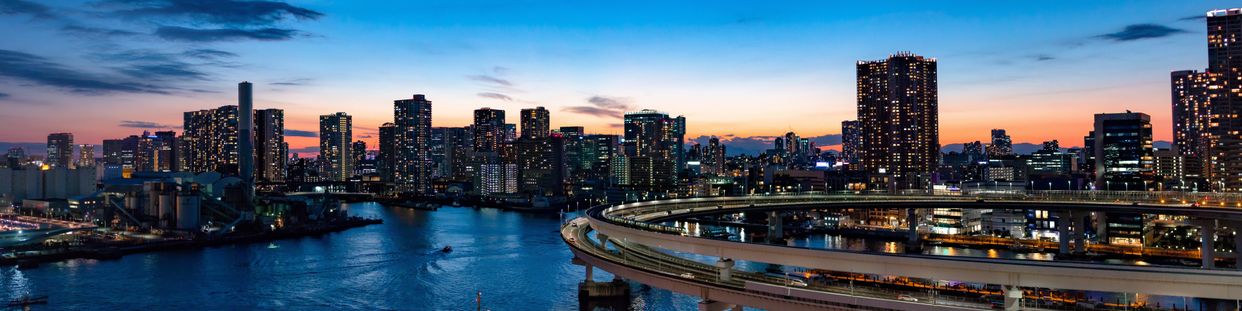 View of Tokyo from Rainbow Bridge