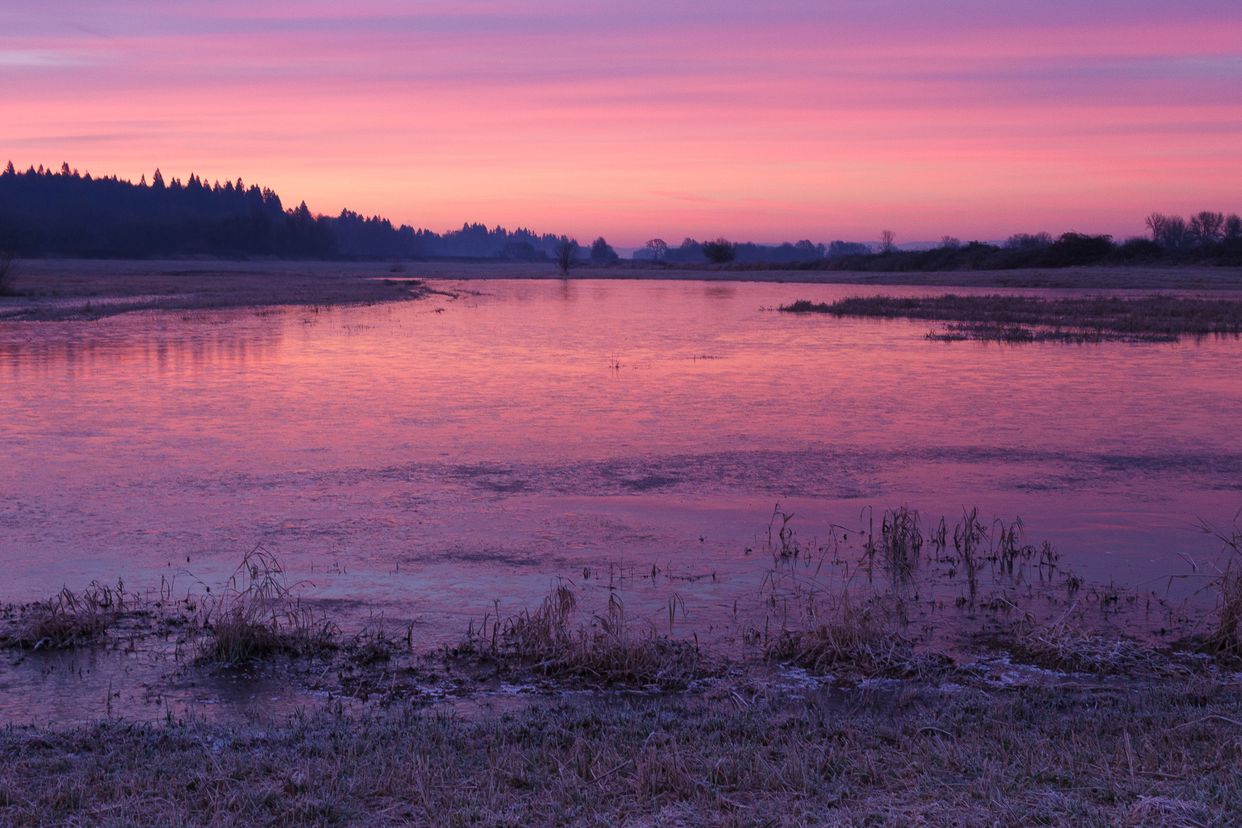 Ridgefield National Wildlife Refuge