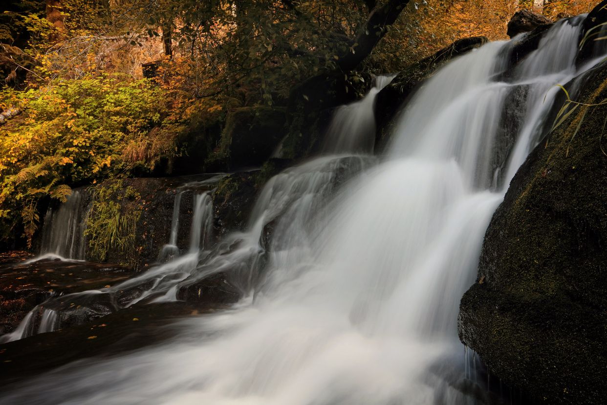 Alsea Falls