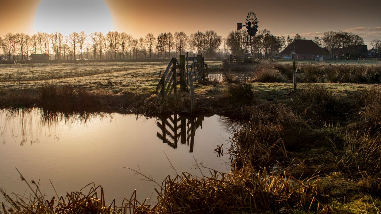 Photo by rarekwibus.nl