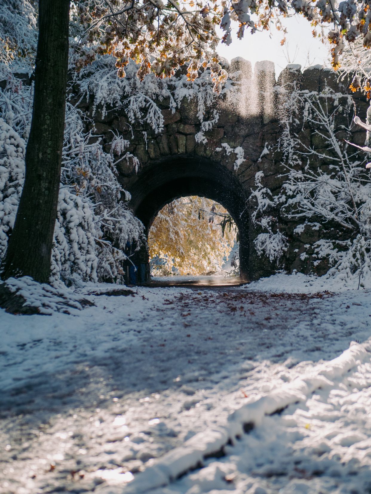 Ellicott Arch