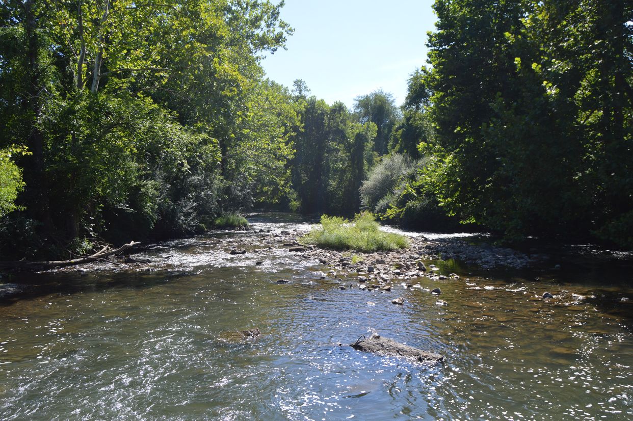 Jackson River