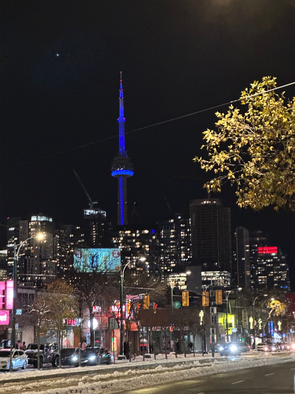 Spadina Ave View