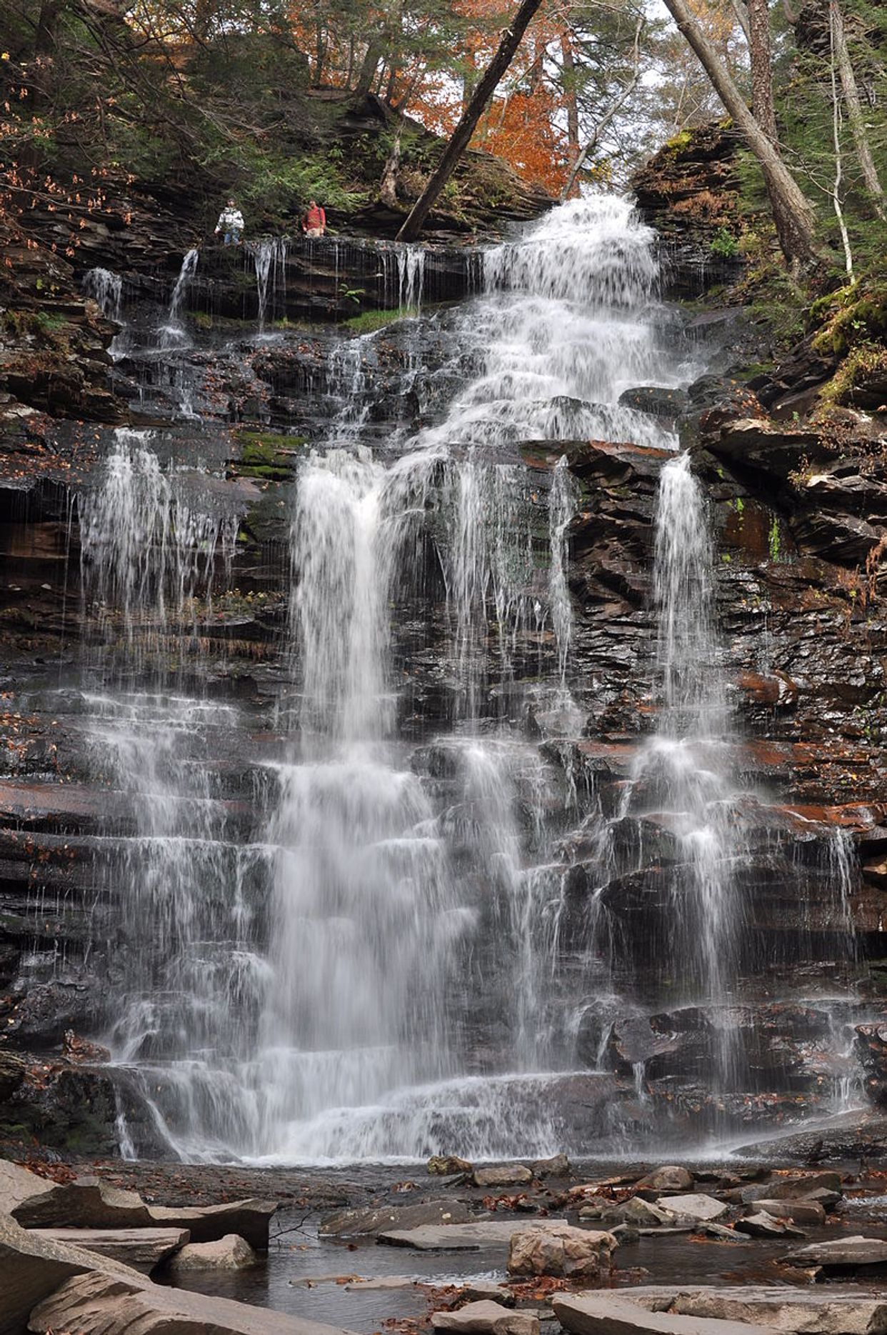 Ganoga Falls
