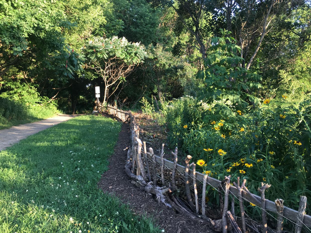 Fletcher Wildlife Garden