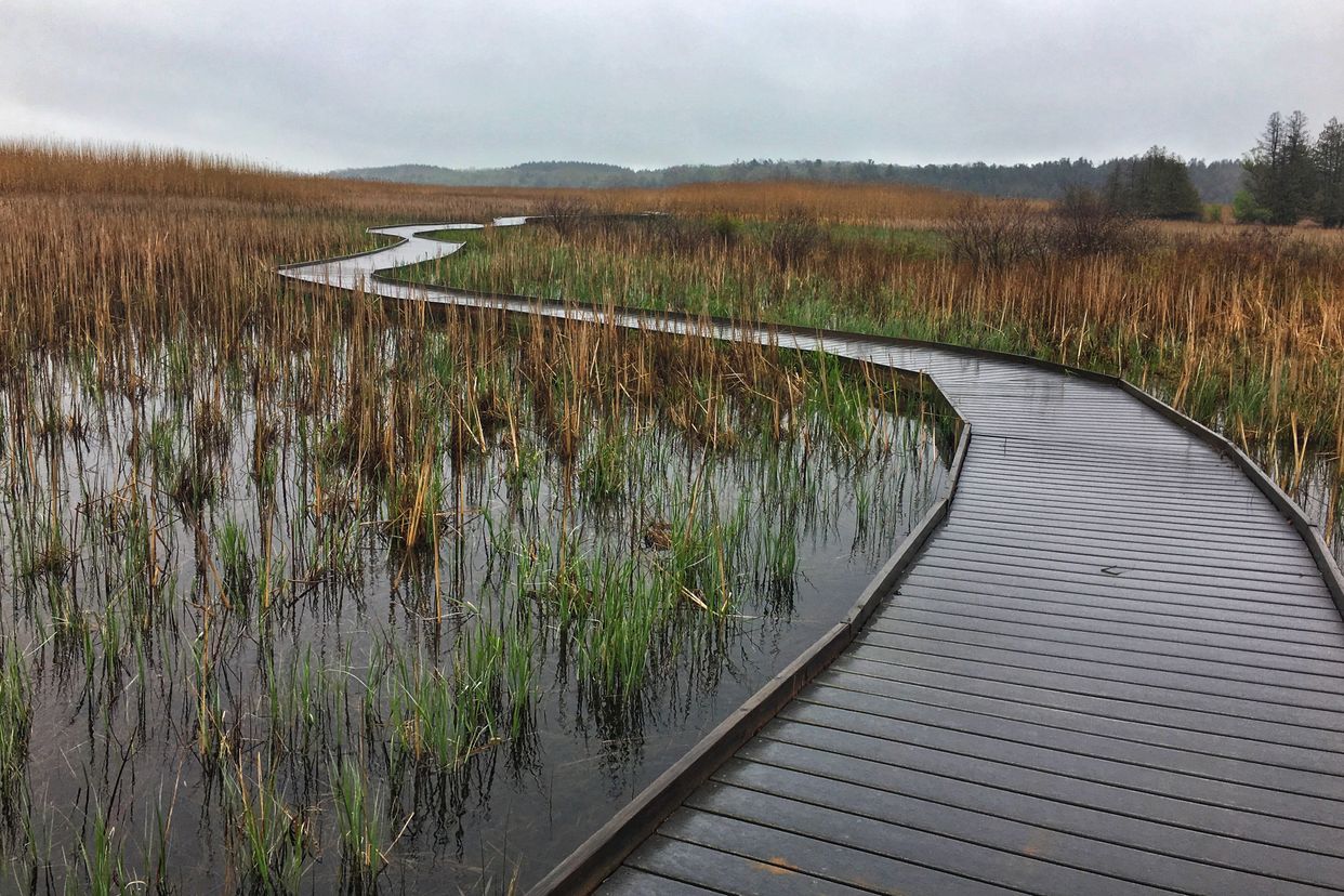 Marsh Boardwalk Trail