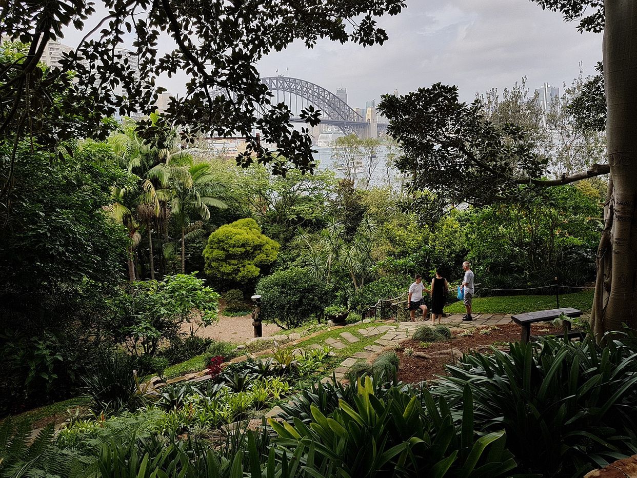 Wendy Whiteley's Secret Garden