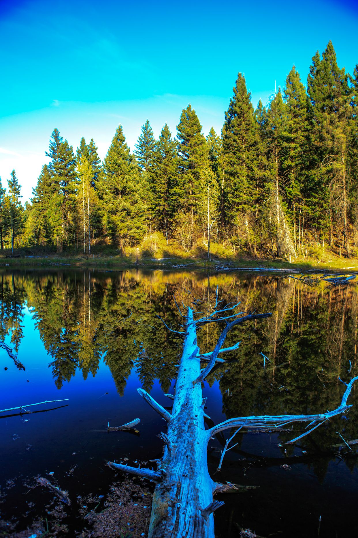 Isobel Lake