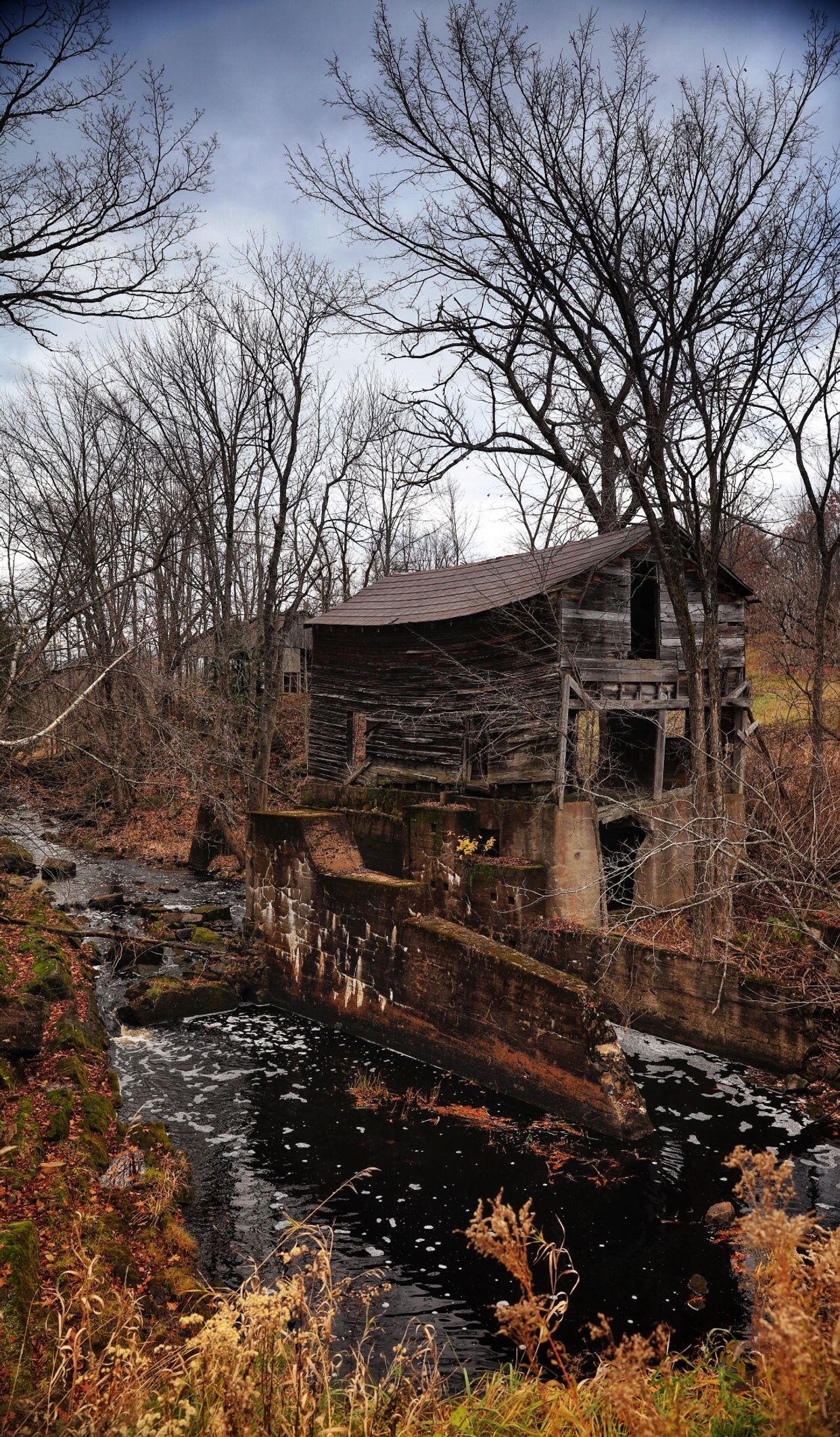 Abandoned Card Saw Mill